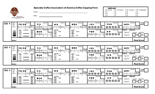 scaa杯測表