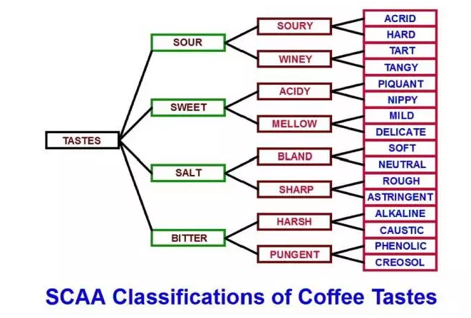 咖啡杯測,咖啡味道分類與判斷
